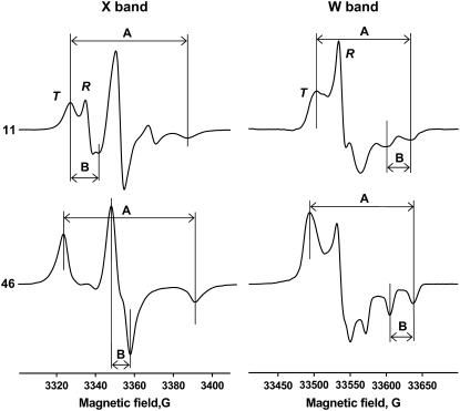 FIGURE 3