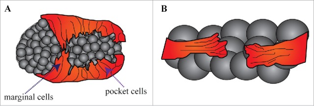 Figure 9.