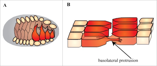 Figure 8.