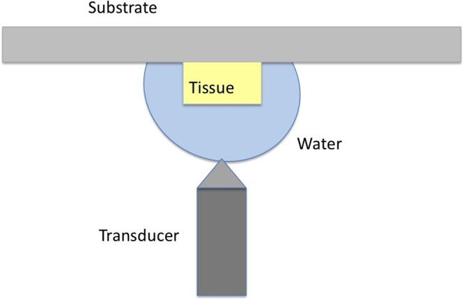 Figure 8