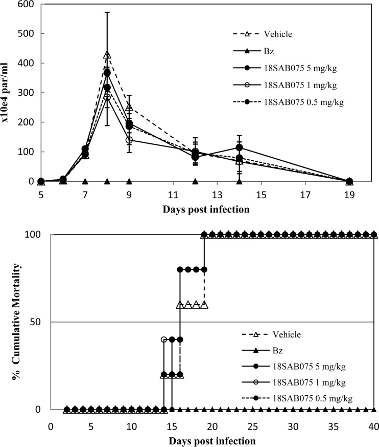 FIG 6