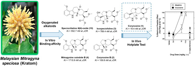 graphic file with name nihms-1757392-f0001.jpg