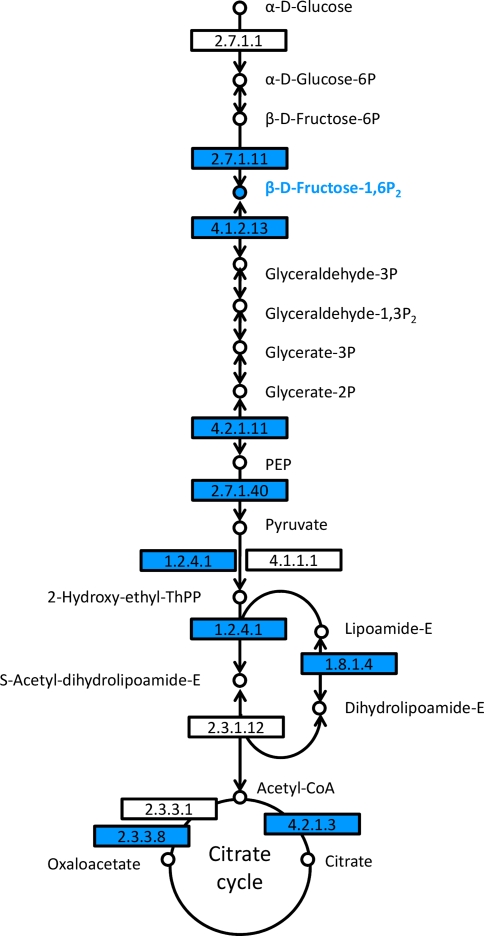 Fig. 6