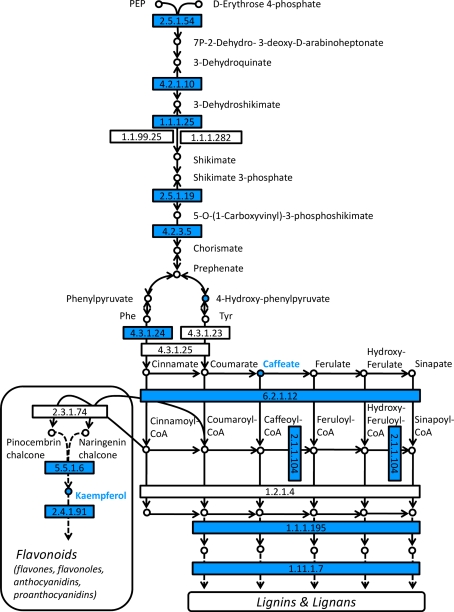 Fig. 5