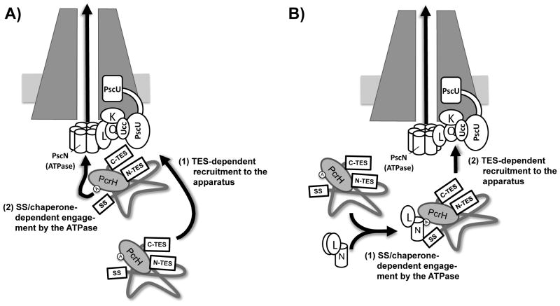 Fig. 8