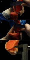 Fig. 3