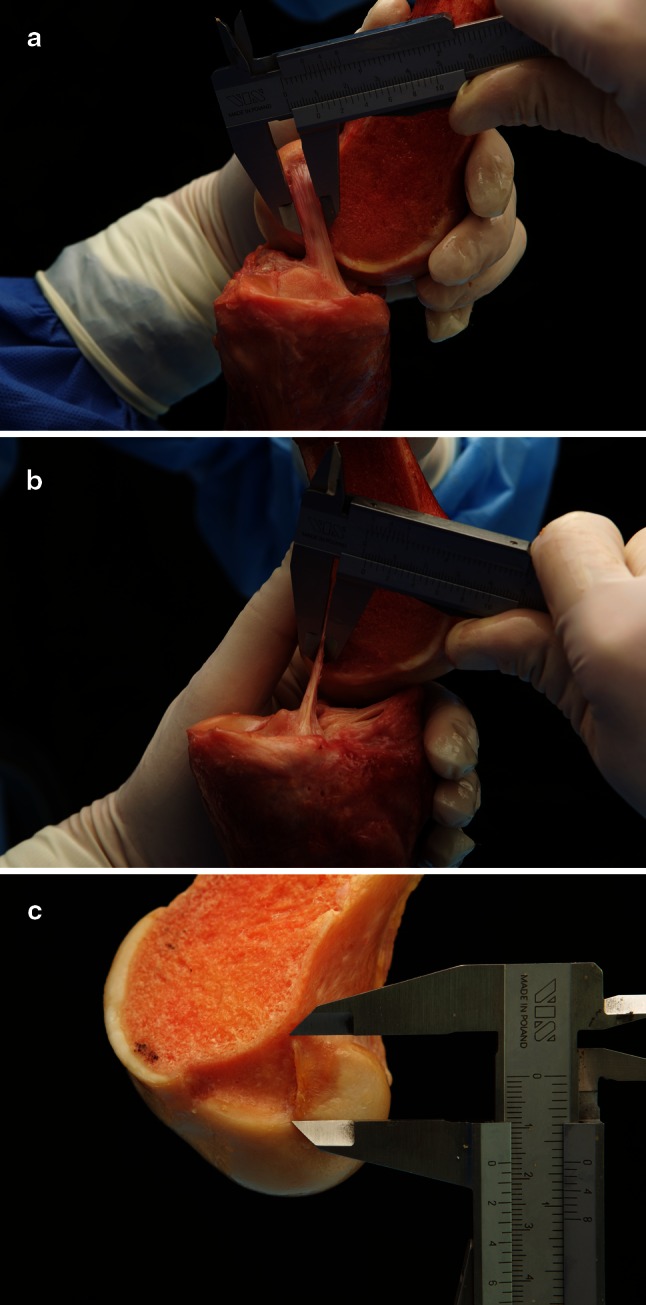 Fig. 3