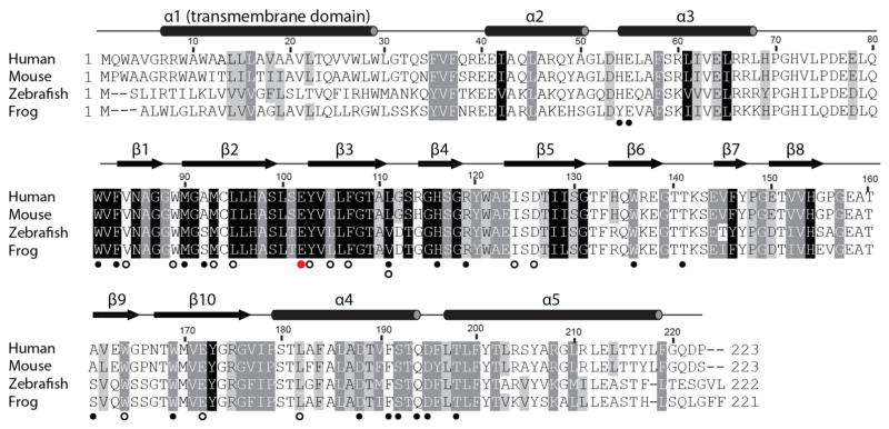 Extended Data Figure 5