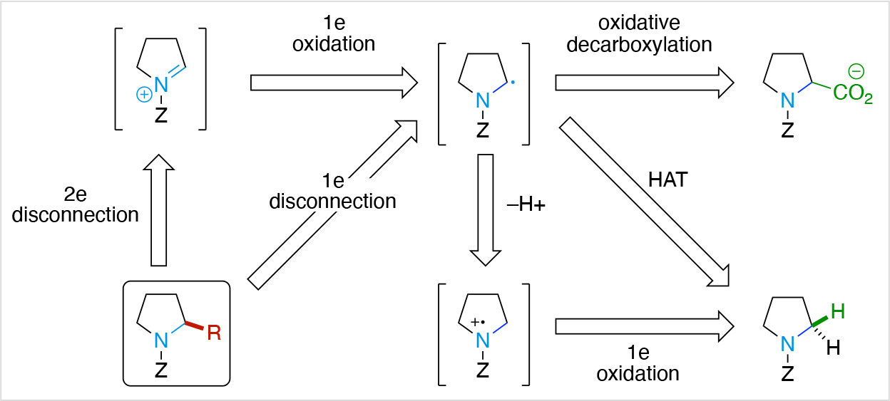 Scheme 26.