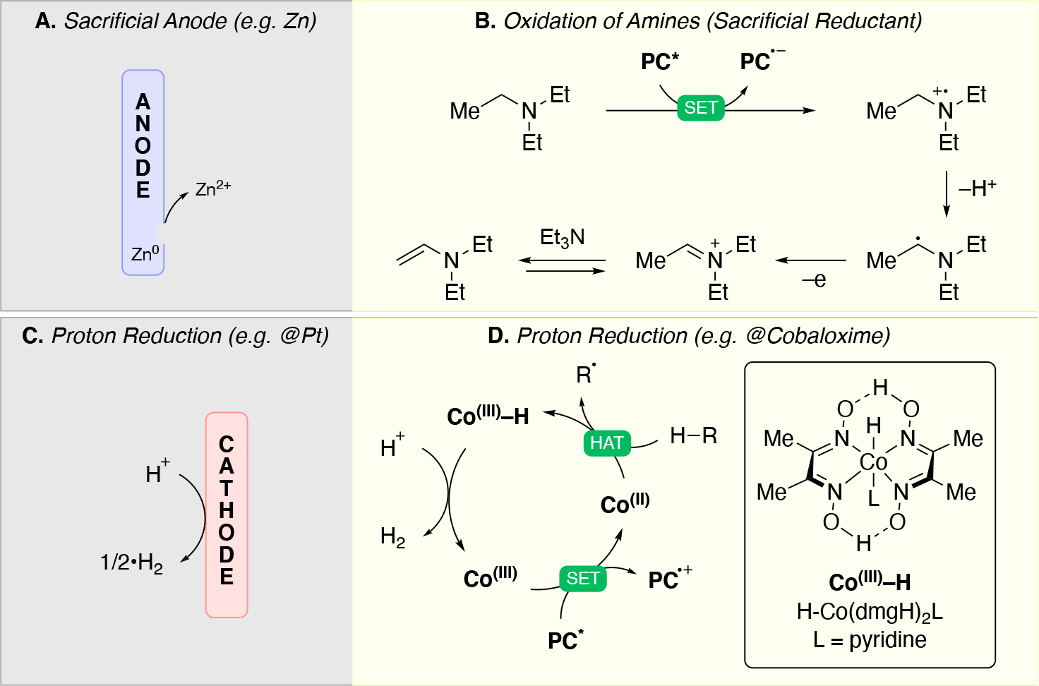 Scheme 7.