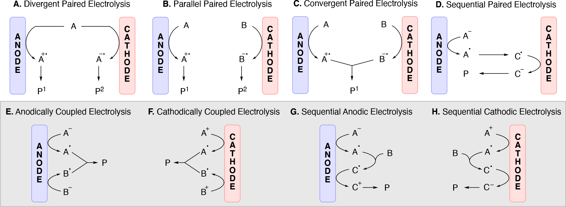 Scheme 4.