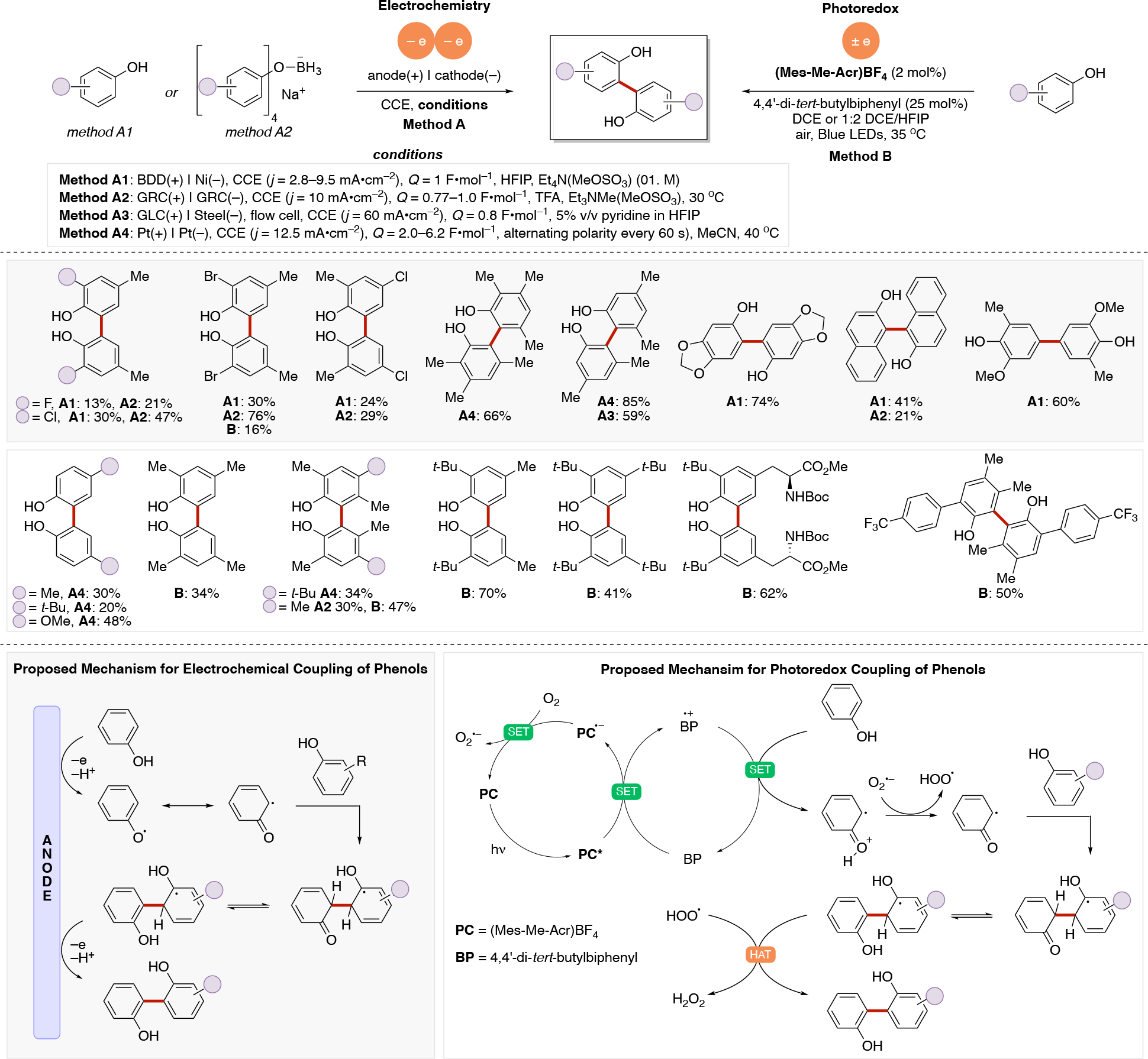 Scheme 67.