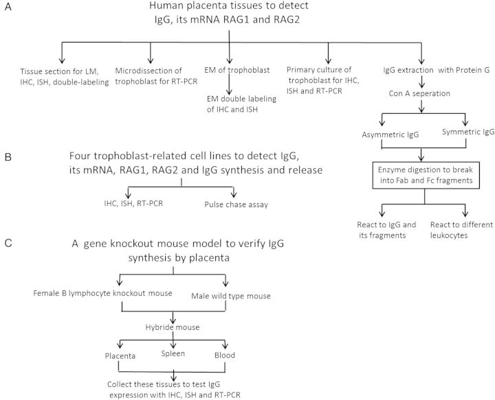 Figure 1