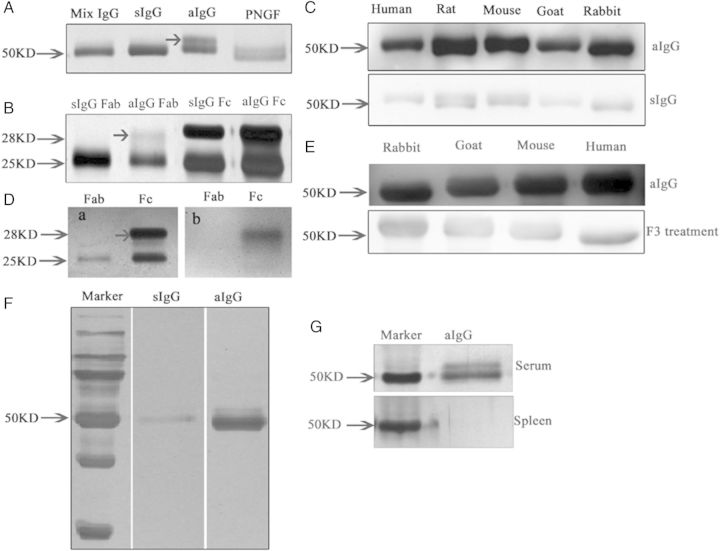 Figure 5