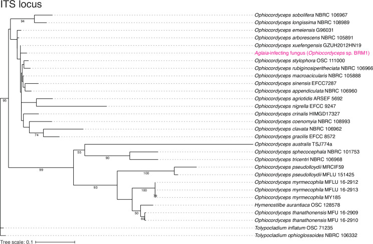 Figure 1—figure supplement 1.