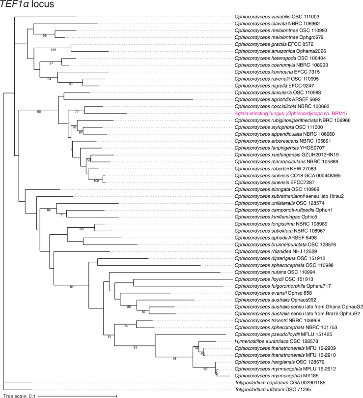 Figure 1—figure supplement 5.