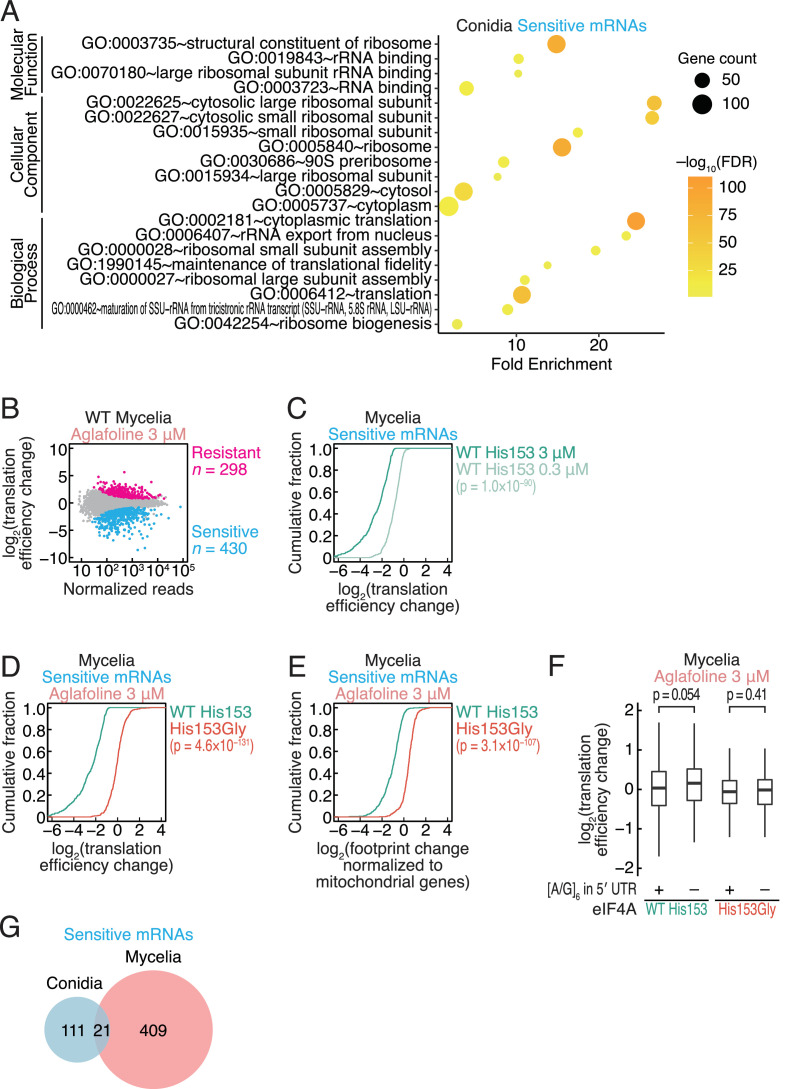 Figure 3—figure supplement 3.