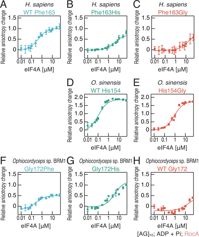 Figure 2—figure supplement 2.