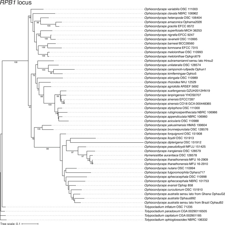 Figure 1—figure supplement 4.