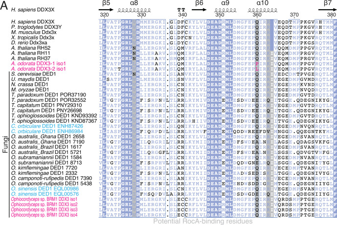 Figure 5—figure supplement 1.