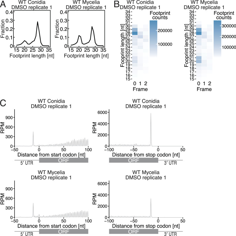 Figure 3—figure supplement 2.