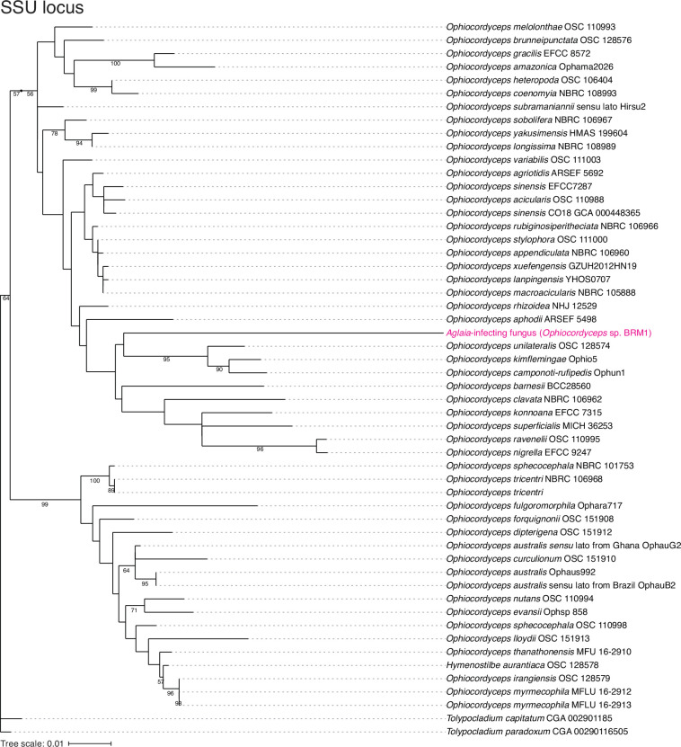 Figure 1—figure supplement 2.