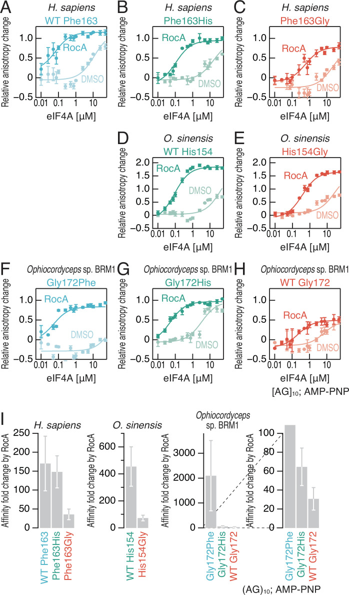 Figure 2—figure supplement 3.