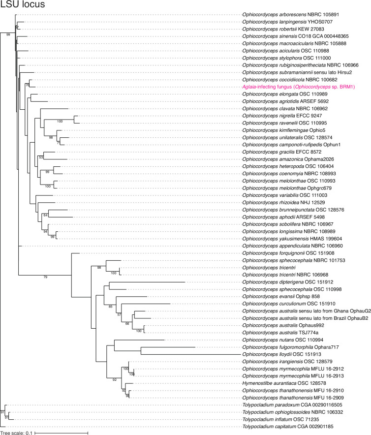 Figure 1—figure supplement 3.