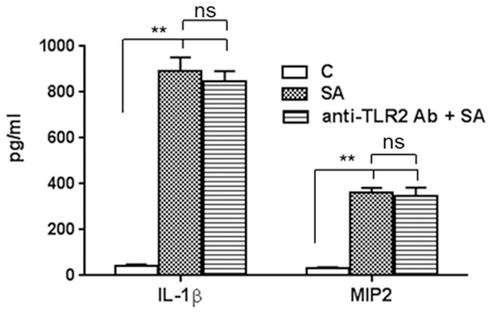 Fig 7