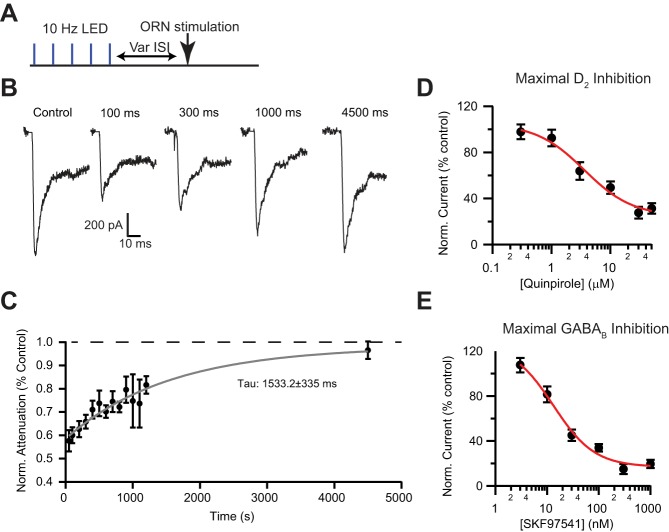 Fig. 3.