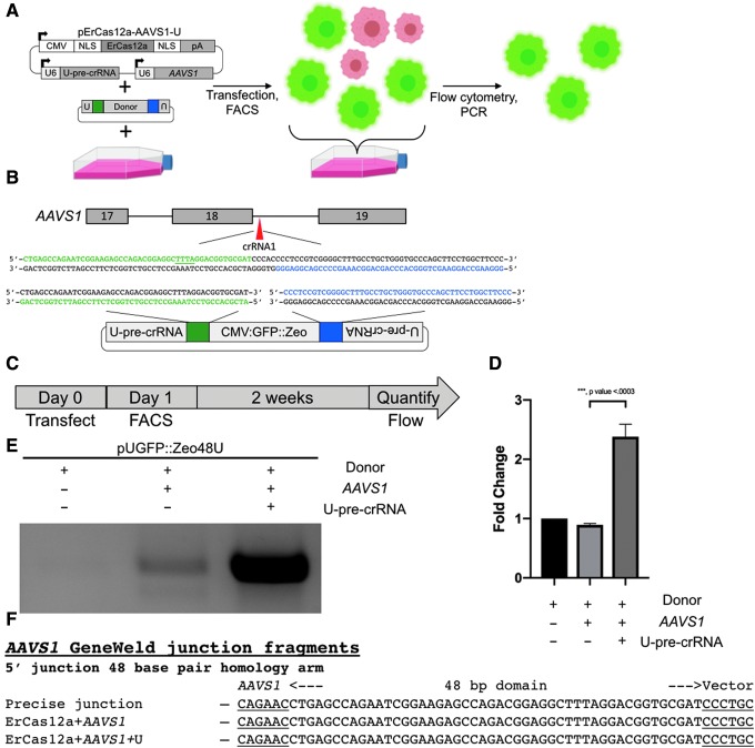 FIG. 6.