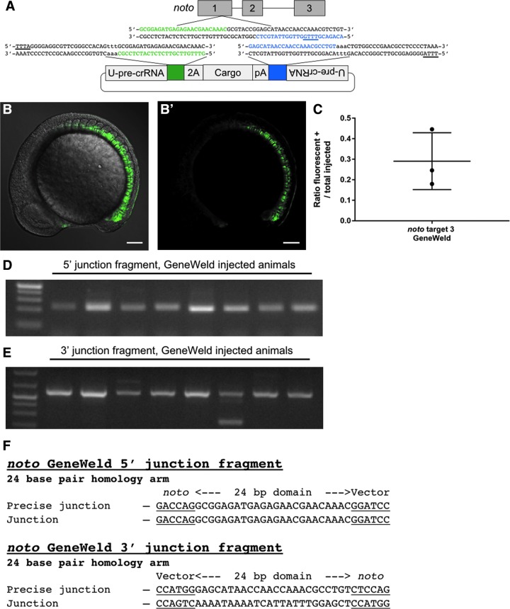 FIG. 3.