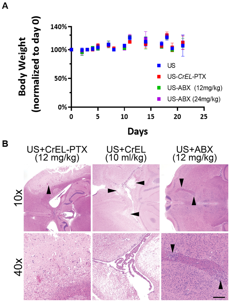 Figure 5: