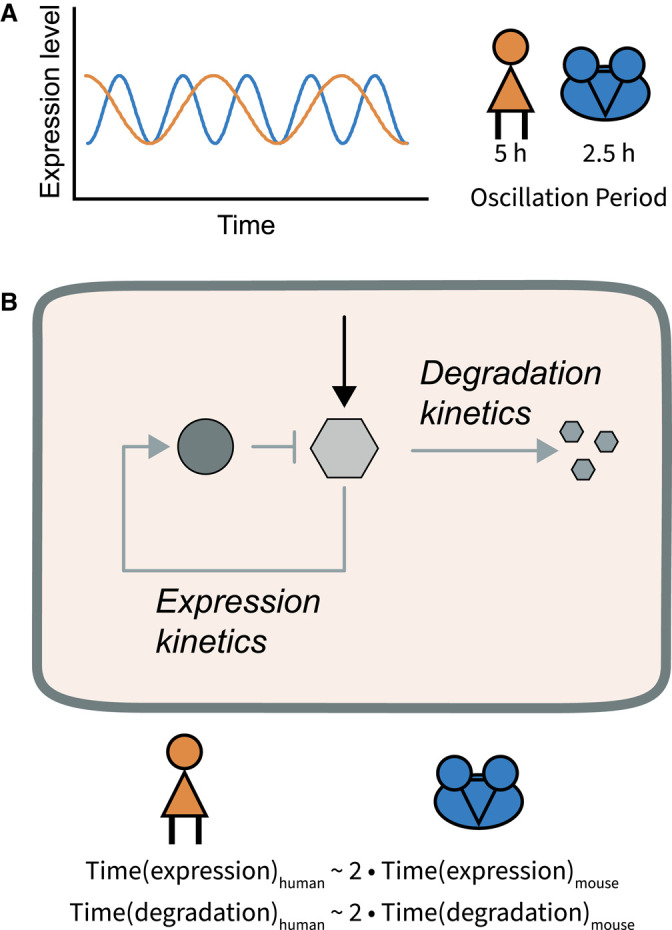 Figure 6.