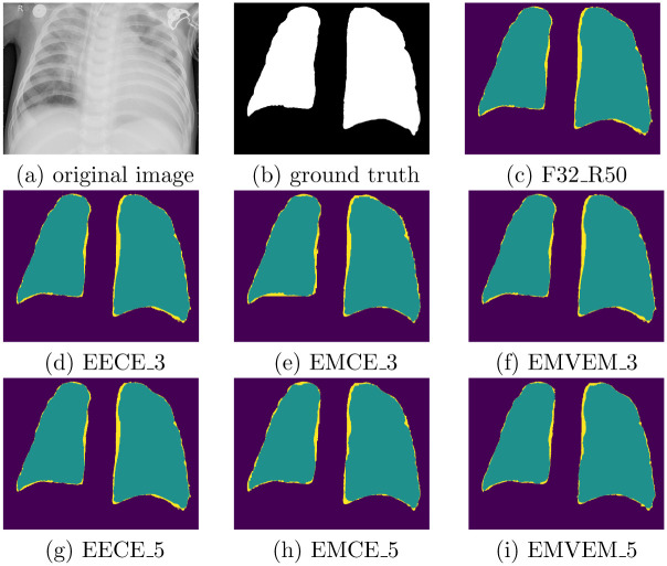 Fig 5