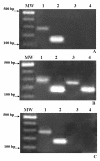 FIG. 2.