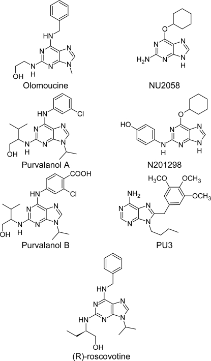 Fig.2.