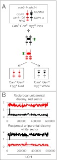 Fig. 3.