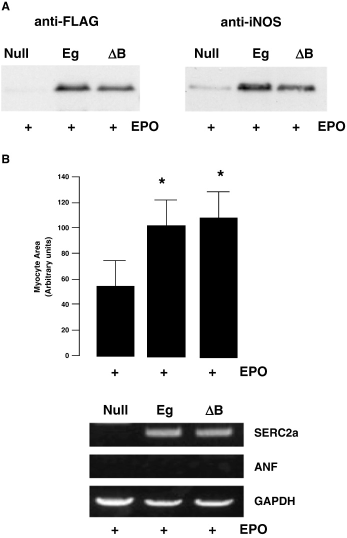 Fig. 6