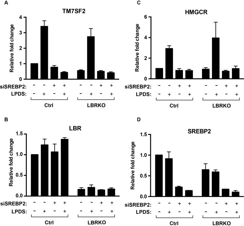 Figure 3—figure supplement 1.