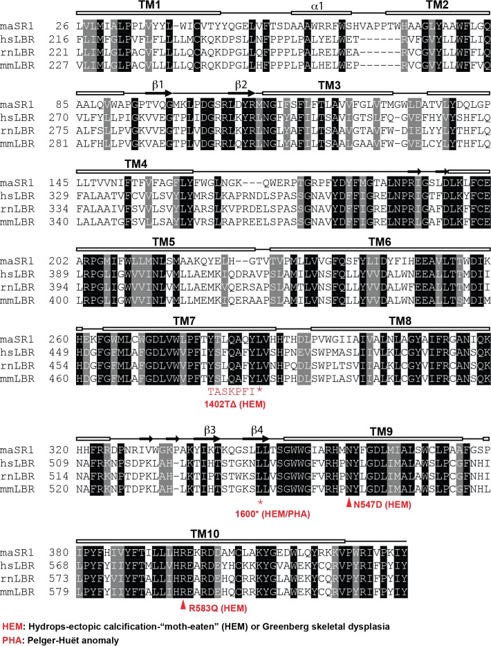 Figure 5—figure supplement 1.