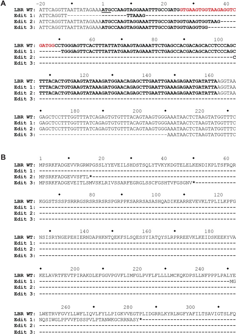 Figure 2—figure supplement 2.