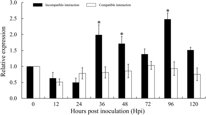 FIGURE 4