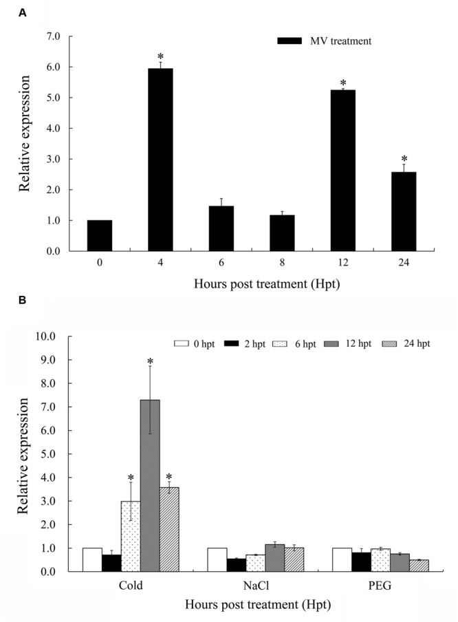 FIGURE 3