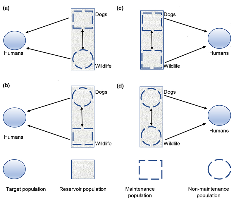 Reservoir dynamics of rabies in south-east Tanzania and the roles of ...