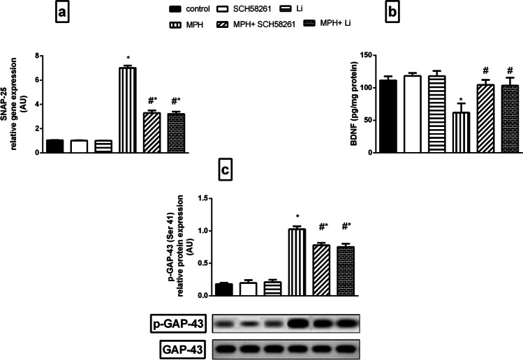 Fig. 5