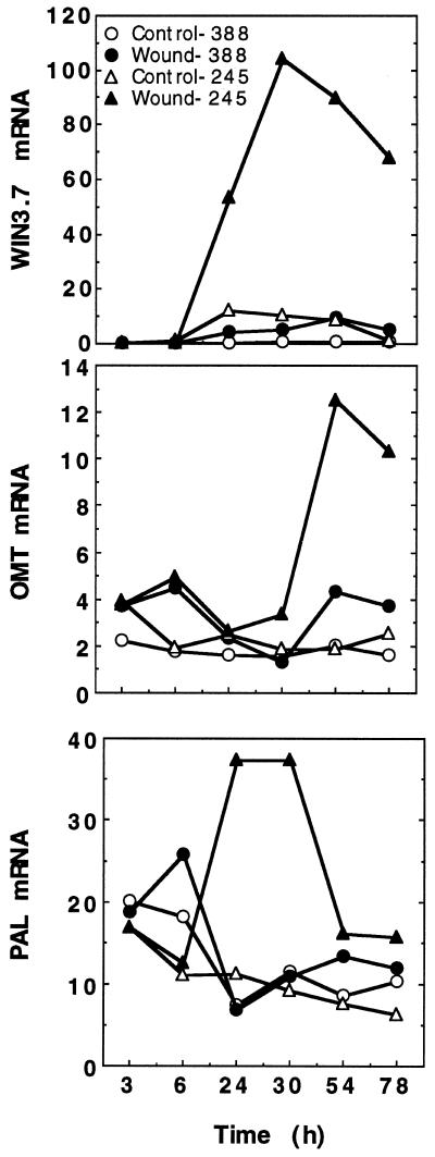 Figure 5