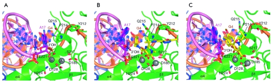 Fig. 6