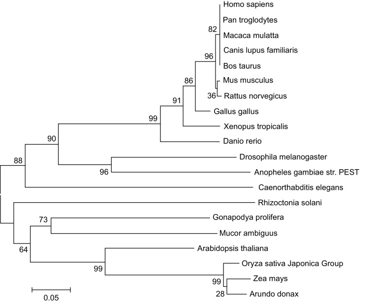 Figure 3