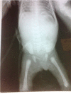 Fig. 2